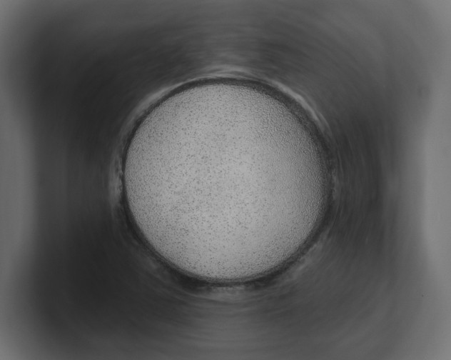 X0000100361363200806271414