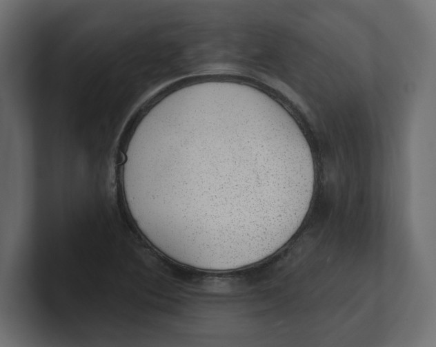 X0000100361364200806271414