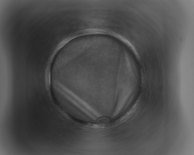 X0000100361365200806271414