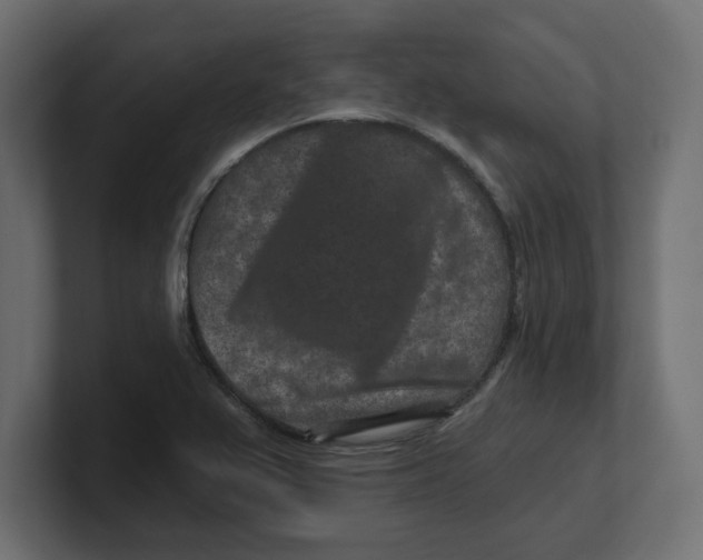 X0000100361367200806271414