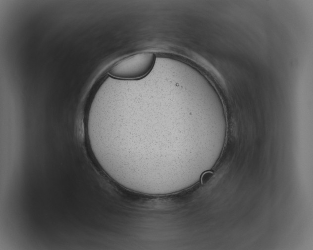 X0000100361368200806271414