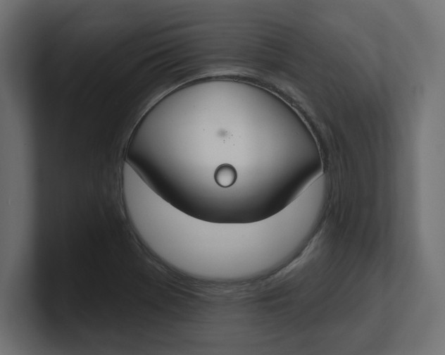 X0000100361369200806271414