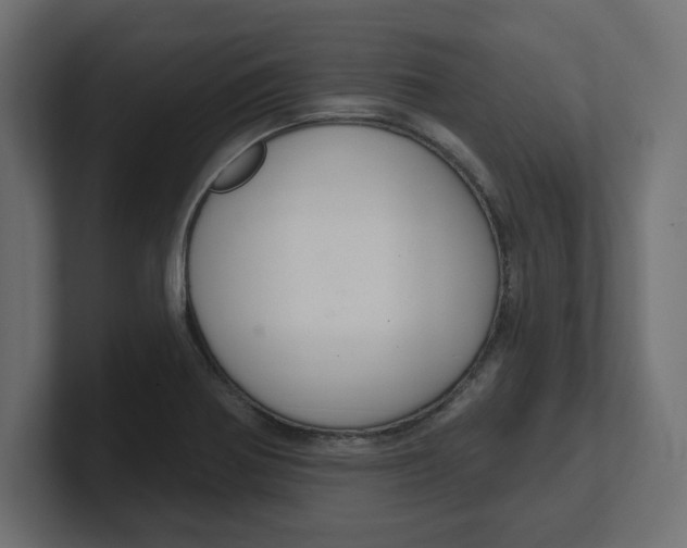 X0000100361370200806271414