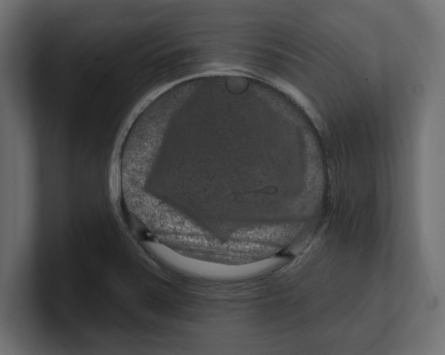 X0000100361371200806271414