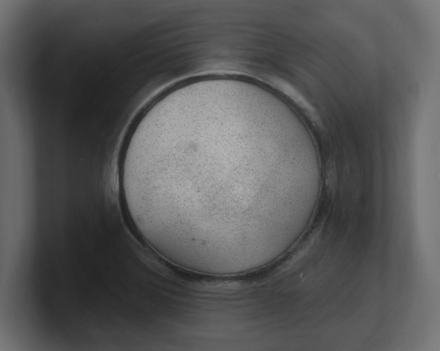 X0000100361372200806271414