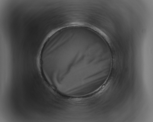 X0000100361373200806271414