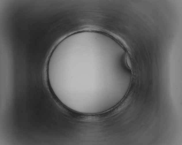 X0000100361375200806271414