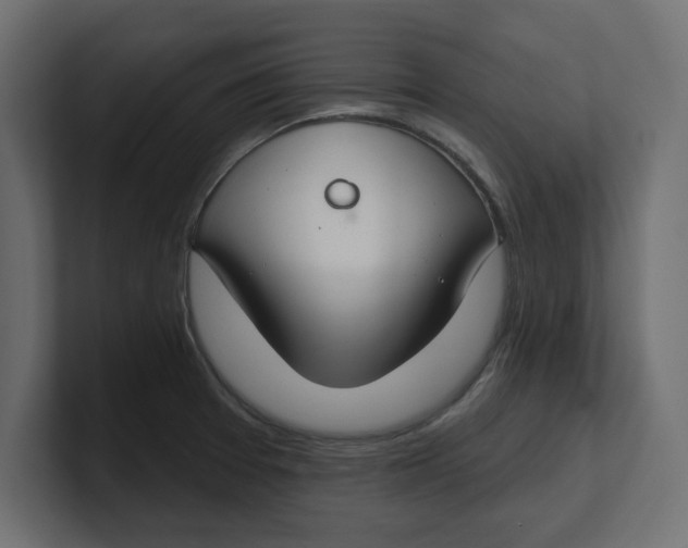 X0000100361377200806271414