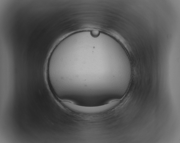 X0000100361379200806271414