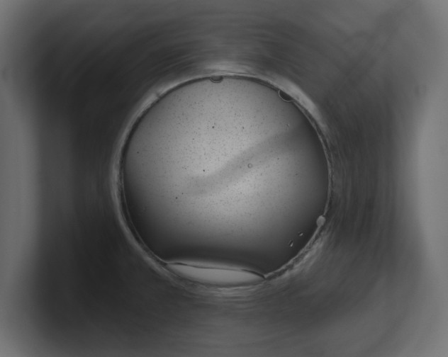 X0000100361381200806271414