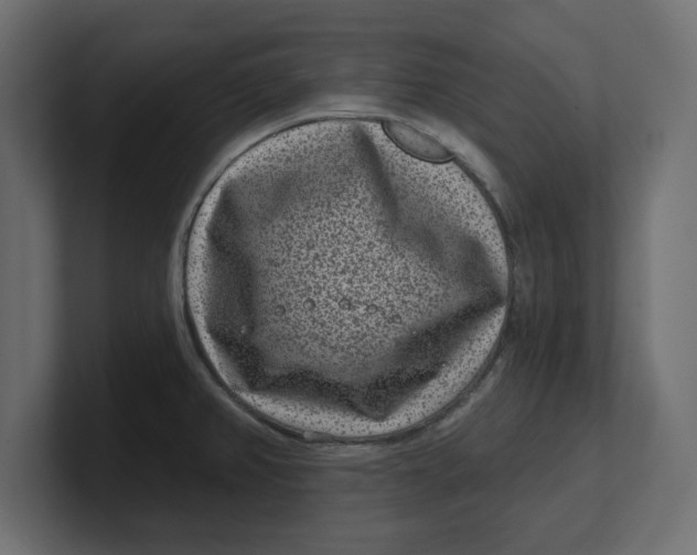 X0000100361382200806271414