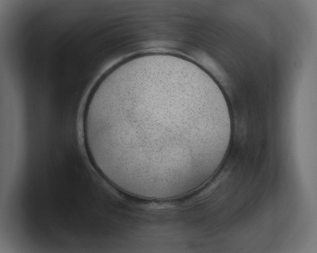 X0000100361384200806271414