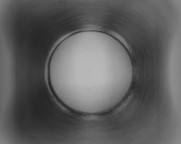 X0000100361387200806271414