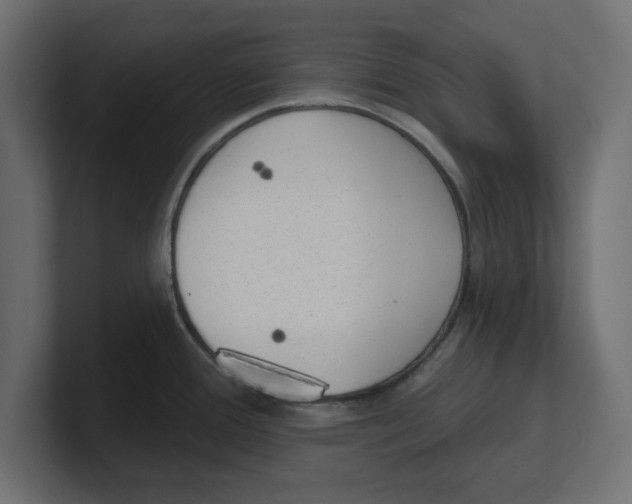 X0000100361388200806271414