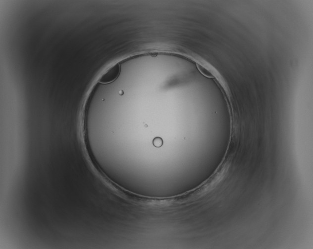 X0000100361389200806271414