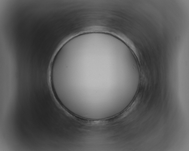 X0000100361390200806271414