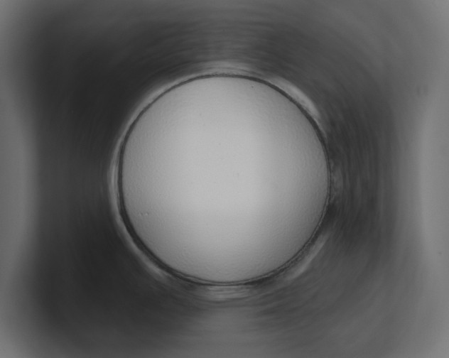 X0000100361391200806271414