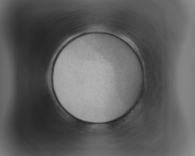 X0000100361392200806271414