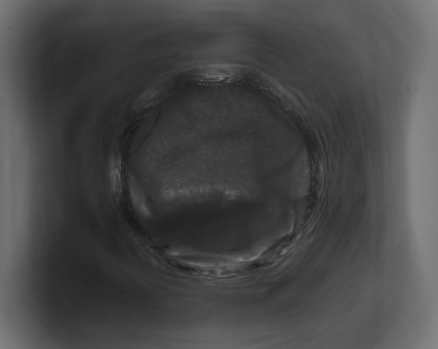 X0000100361394200806271413