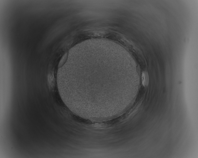 X0000100361395200806271413