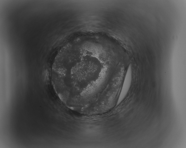 X0000100361397200806271413