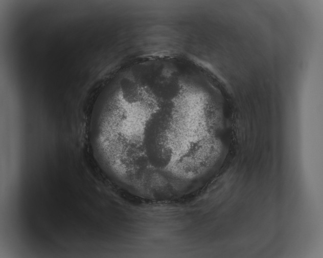 X0000100361399200806271413