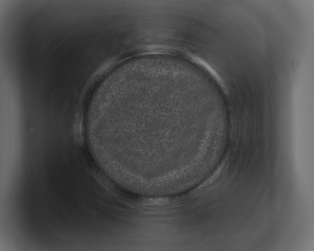 X0000100361403200806271413