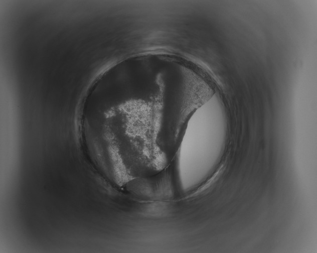 X0000100361405200806271414