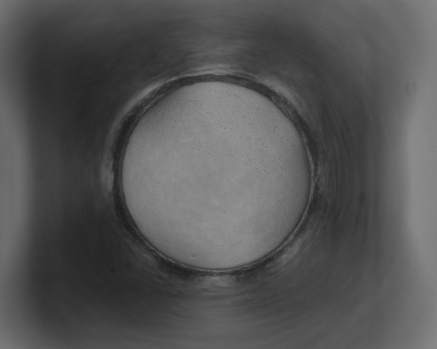 X0000100361406200806271414