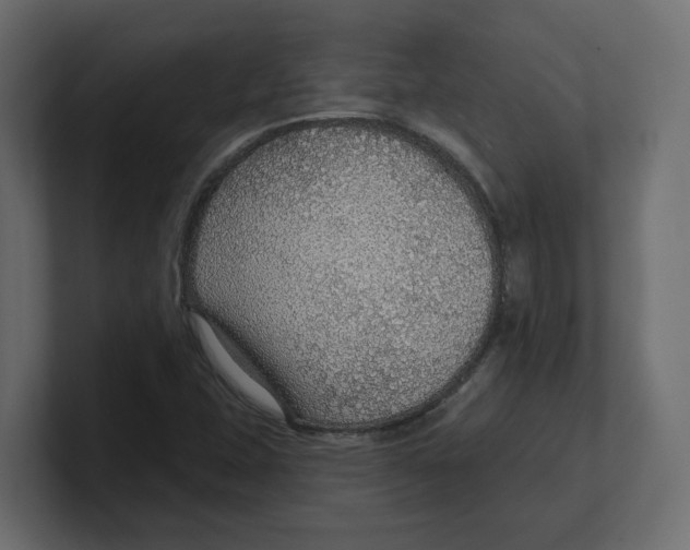 X0000100361407200806271414