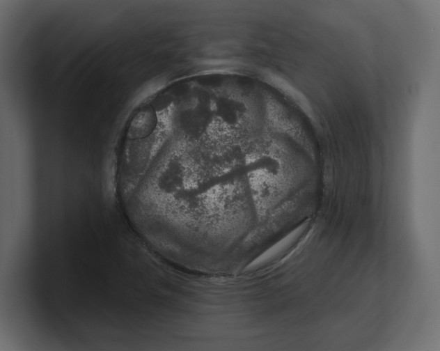 X0000100361411200806271414