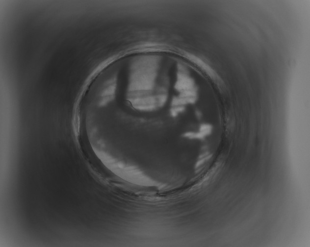 X0000100361413200806271414