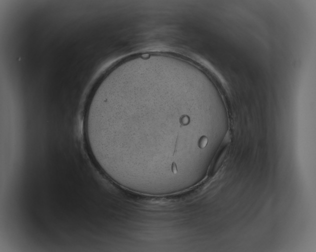 X0000100361416200806271414