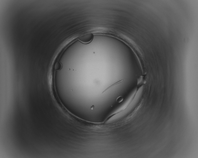 X0000100361418200806271414