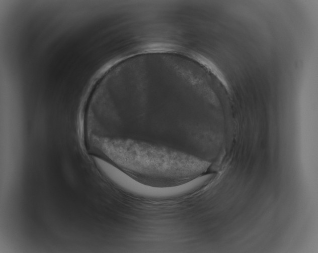 X0000100361419200806271414