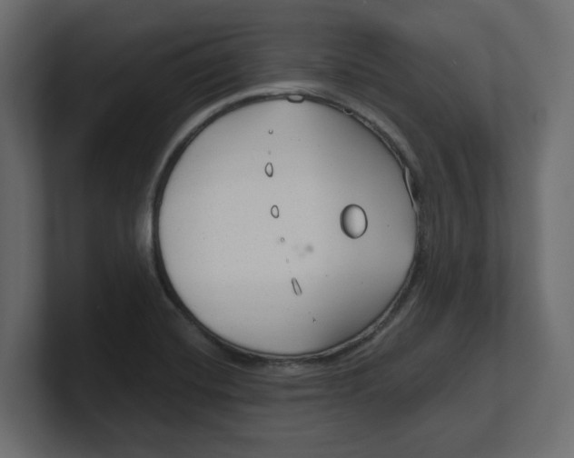 X0000100361420200806271414