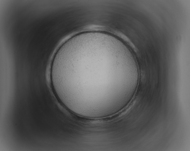 X0000100361421200806271414