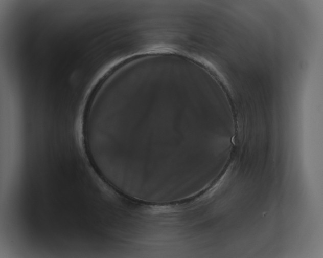 X0000100361422200806271414