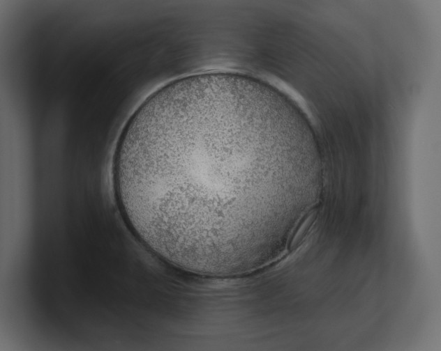 X0000100361423200806271414