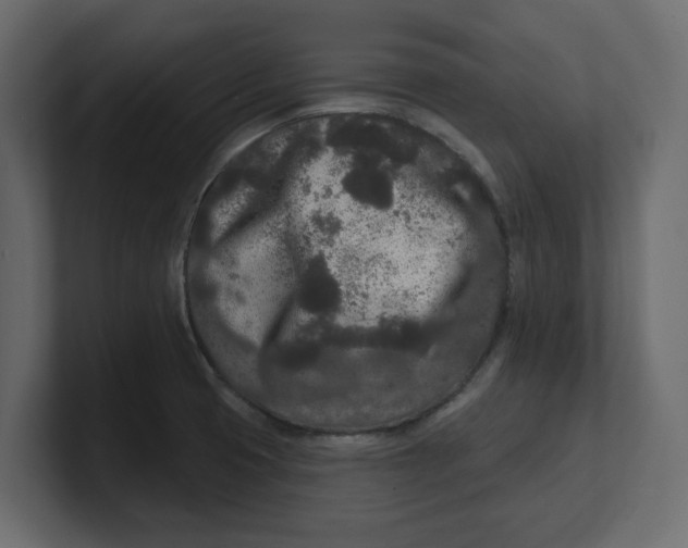 X0000100361425200806271414