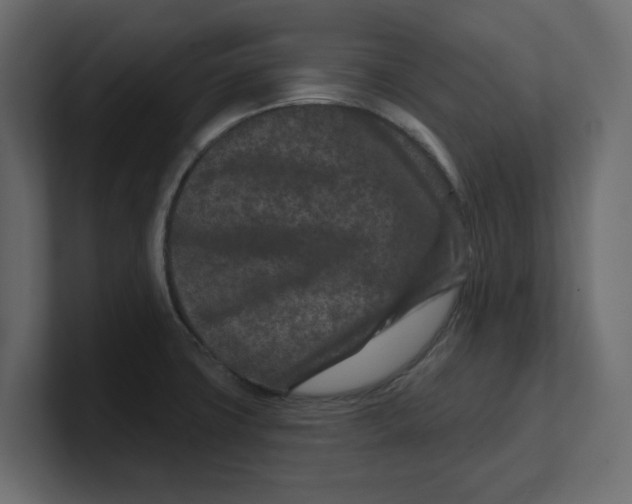 X0000100361427200806271414