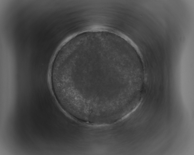 X0000100361429200806271414