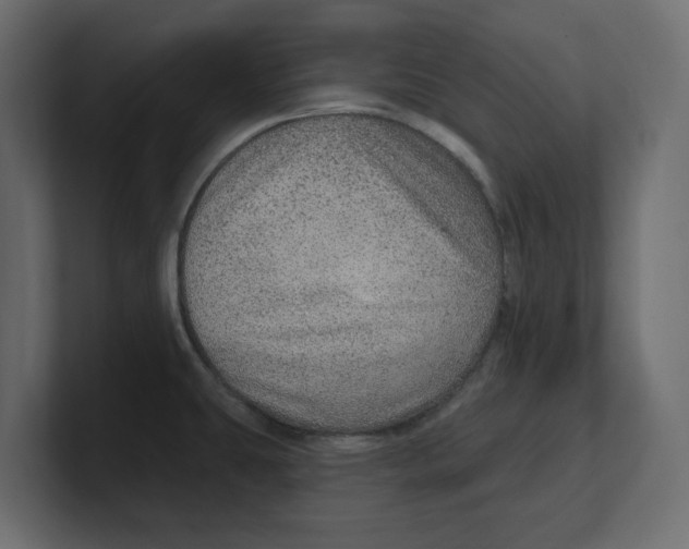 X0000100361431200806271414