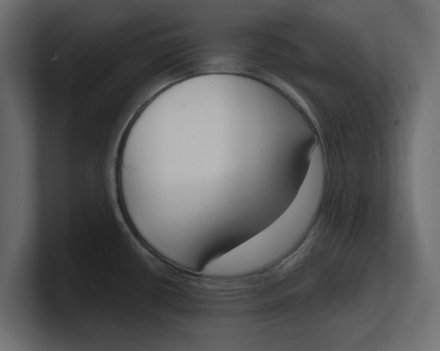 X0000100361434200806271414