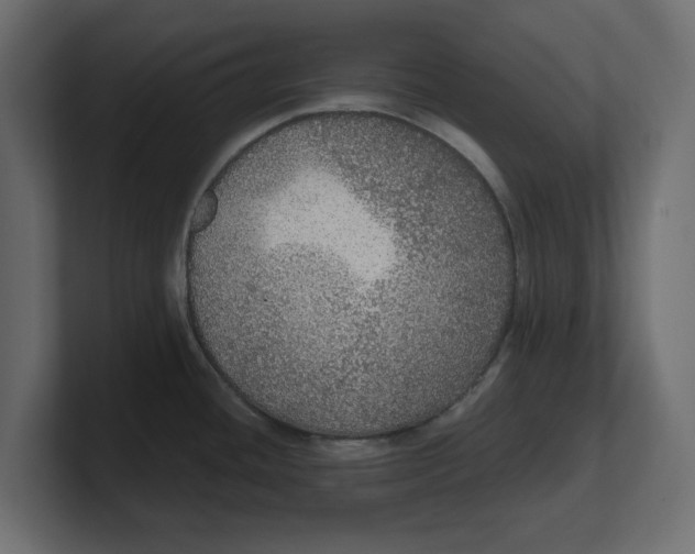 X0000100361436200806271414