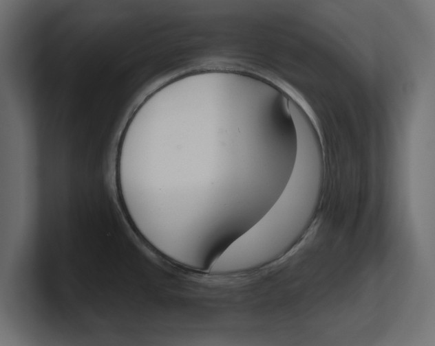 X0000100361437200806271414