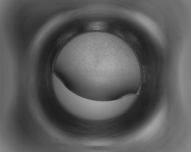 X0000100361438200806271414