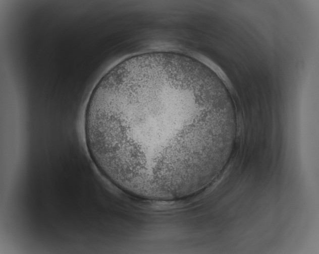 X0000100361439200806271414