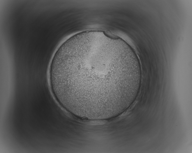 X0000100361440200806271414