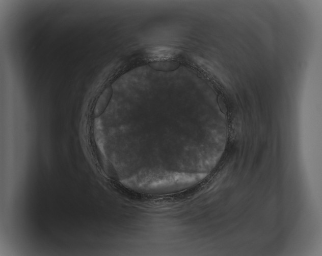 X0000100361441200806271413